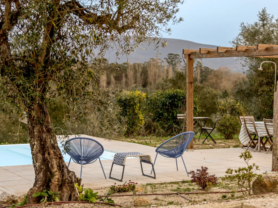 Quinta T9 para Venda em Azeitão (São Lourenço e São Simão) Foto 30