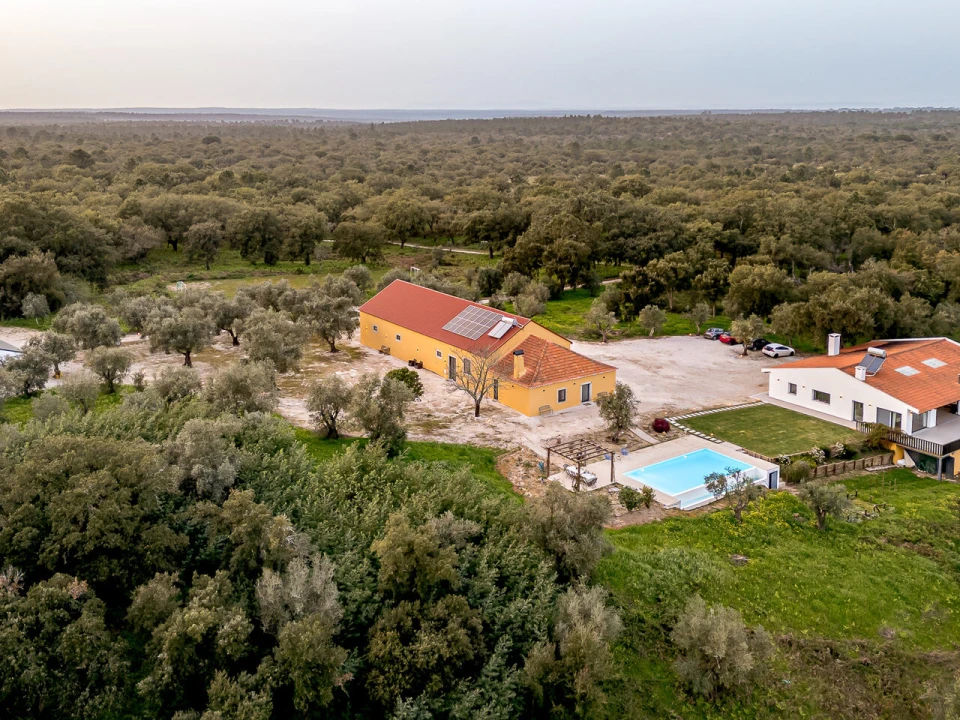 Quinta T9 para Venda em Azeitão (São Lourenço e São Simão) Foto 65