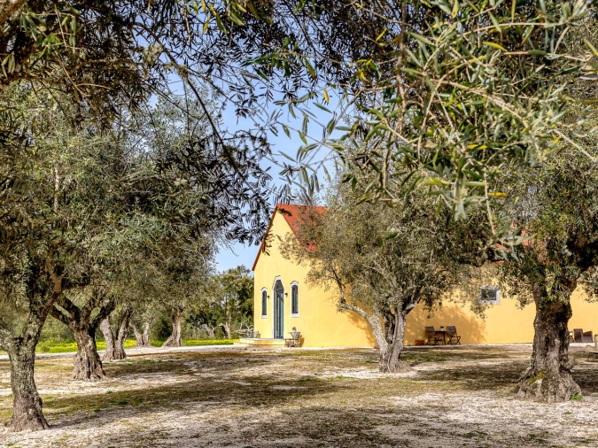 Quinta T9 para Venda em Azeitão (São Lourenço e São Simão) Foto 54