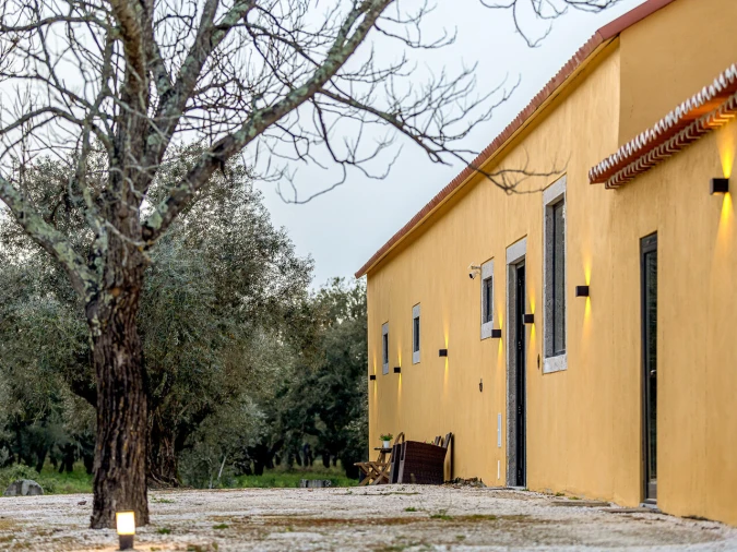 Quinta T9 para Venda em Azeitão (São Lourenço e São Simão) Foto 55