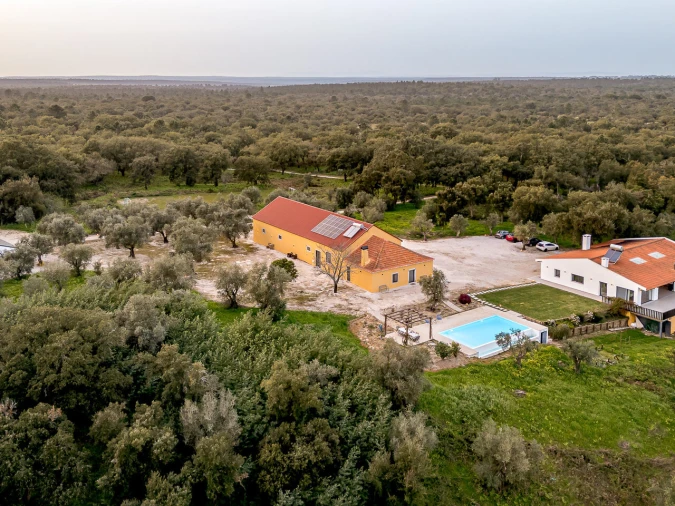 Quinta T9 para Venda em Azeitão (São Lourenço e São Simão) Foto 65