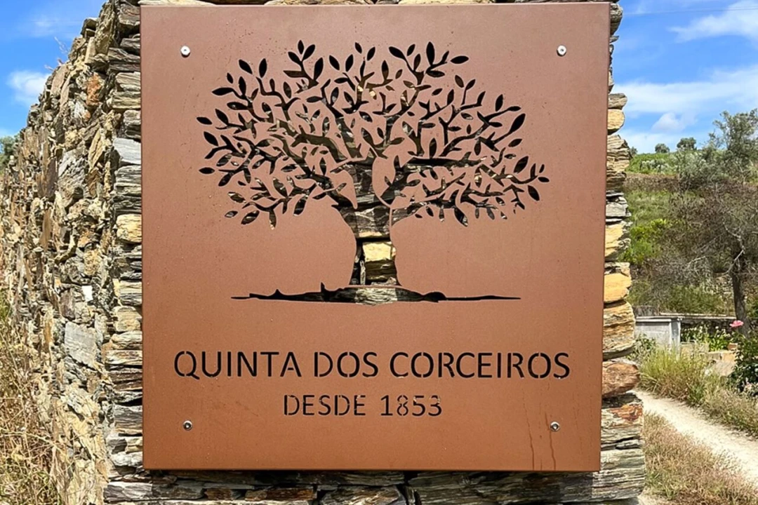 Quinta T4 para Venda em Peso da Régua e Godim Foto 2