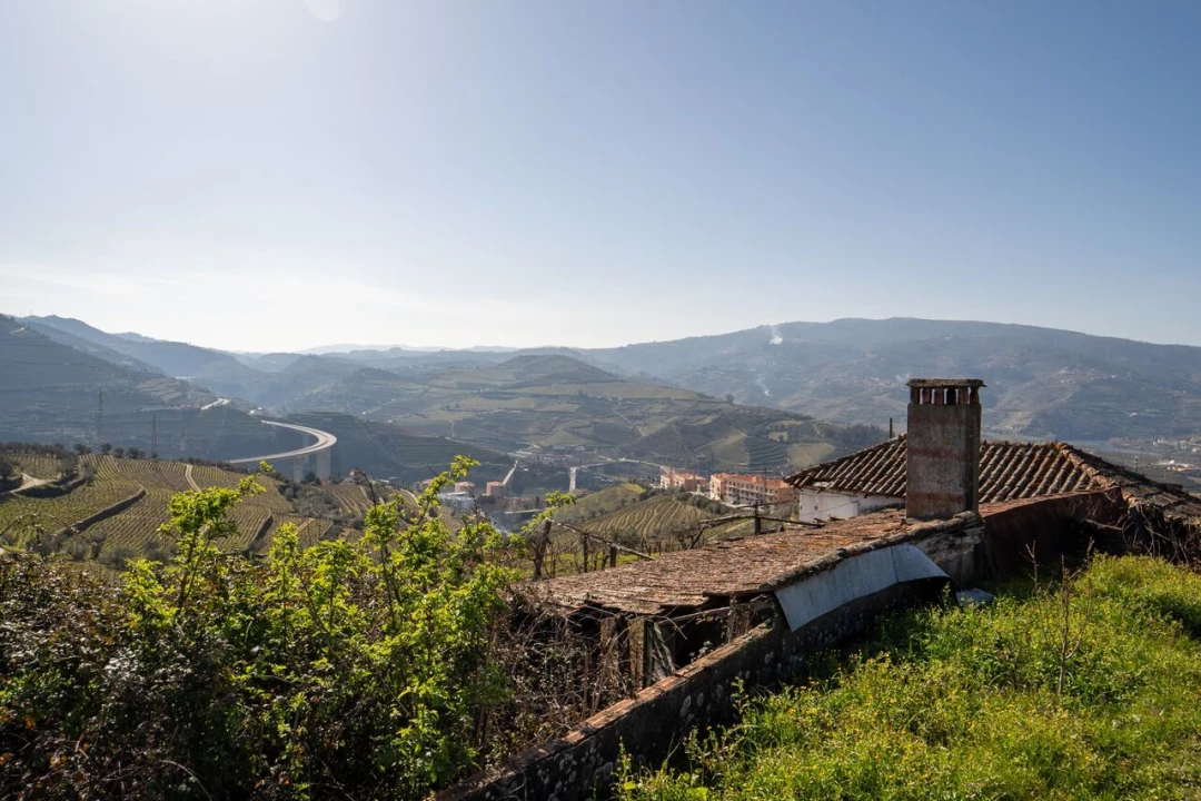 Quinta T4 para Venda em Peso da Régua e Godim Foto 1