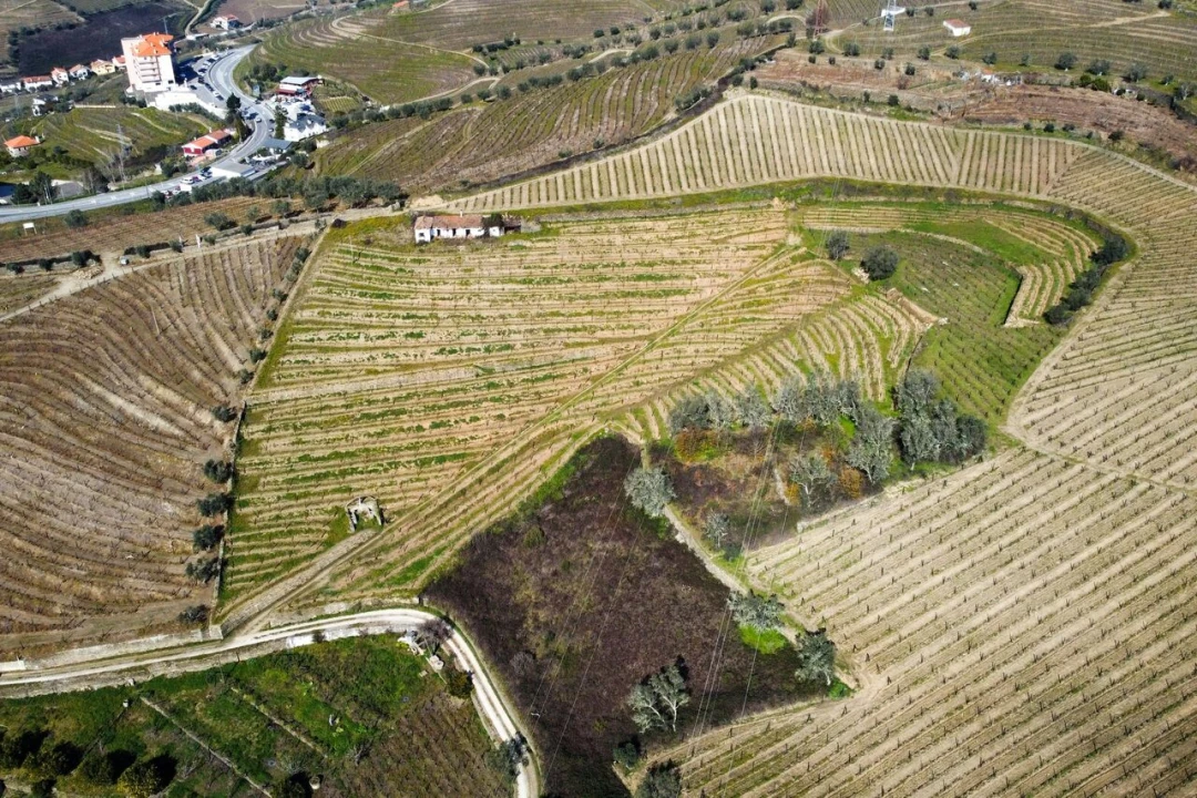 Quinta T4 para Venda em Peso da Régua e Godim Foto 8