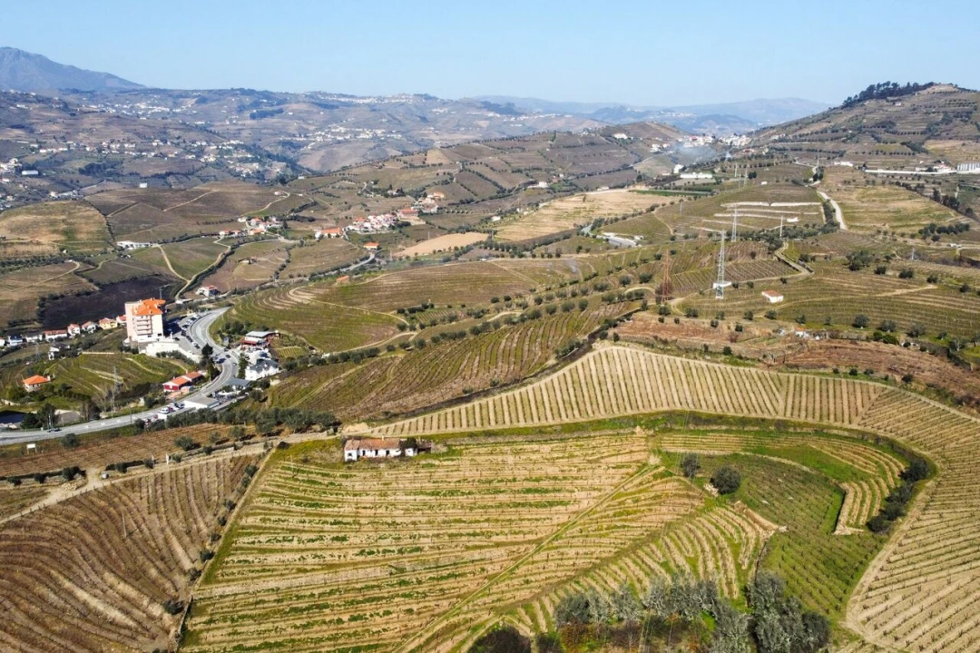 Quinta T4 para Venda em Peso da Régua e Godim Foto 9