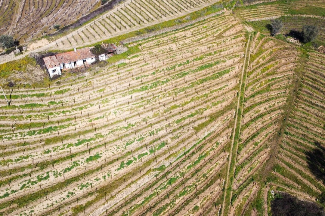 Quinta T4 para Venda em Peso da Régua e Godim Foto 16