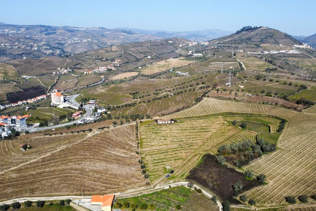 Quinta T4 para Venda em Peso da Régua e Godim Foto 19