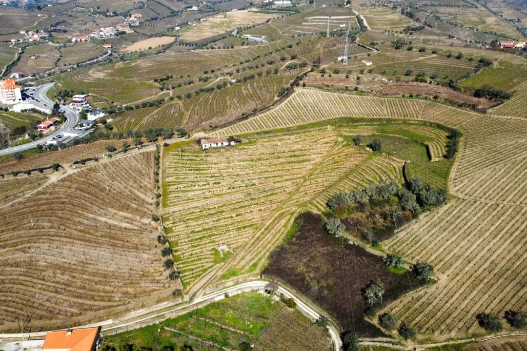 Quinta T4 para Venda em Peso da Régua e Godim Foto 20