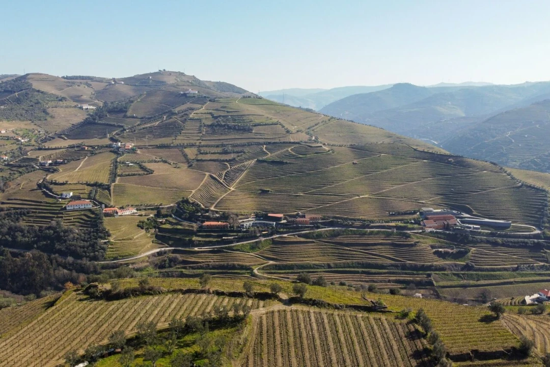 Quinta T4 para Venda em Peso da Régua e Godim Foto 23