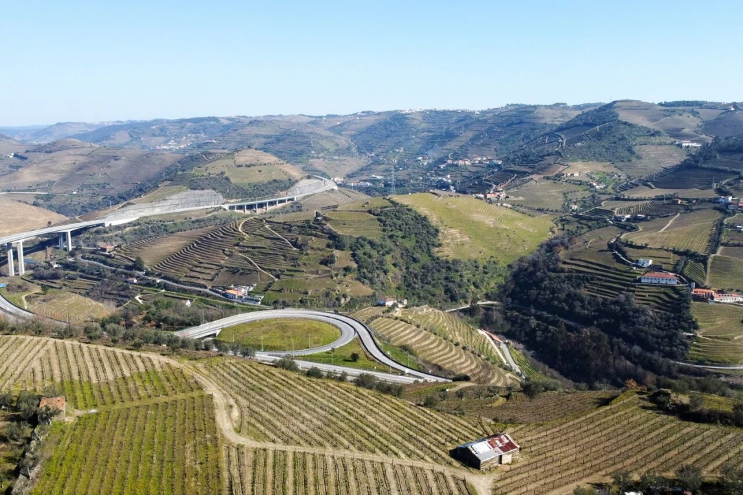 Quinta T4 para Venda em Peso da Régua e Godim Foto 24