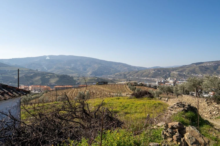 Quinta T4 para Venda em Peso da Régua e Godim Foto 5