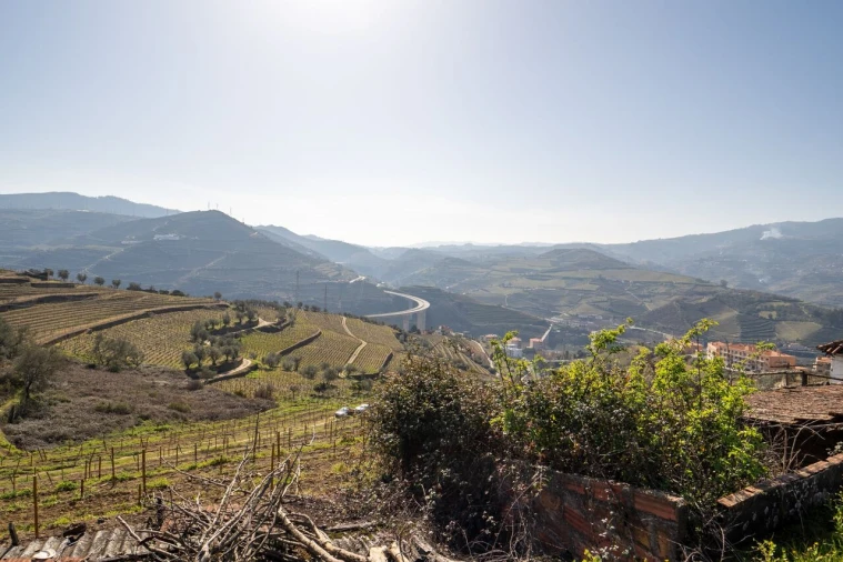 Quinta T4 para Venda em Peso da Régua e Godim Foto 7