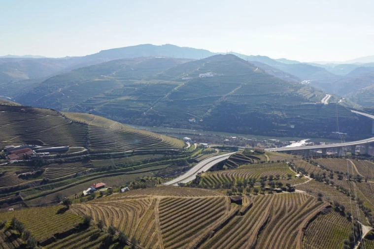 Quinta T4 para Venda em Peso da Régua e Godim Foto 10