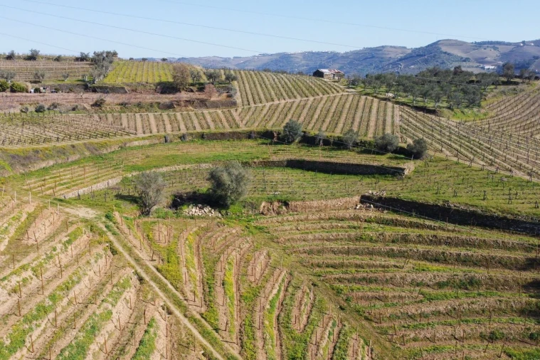 Quinta T4 para Venda em Peso da Régua e Godim Foto 12