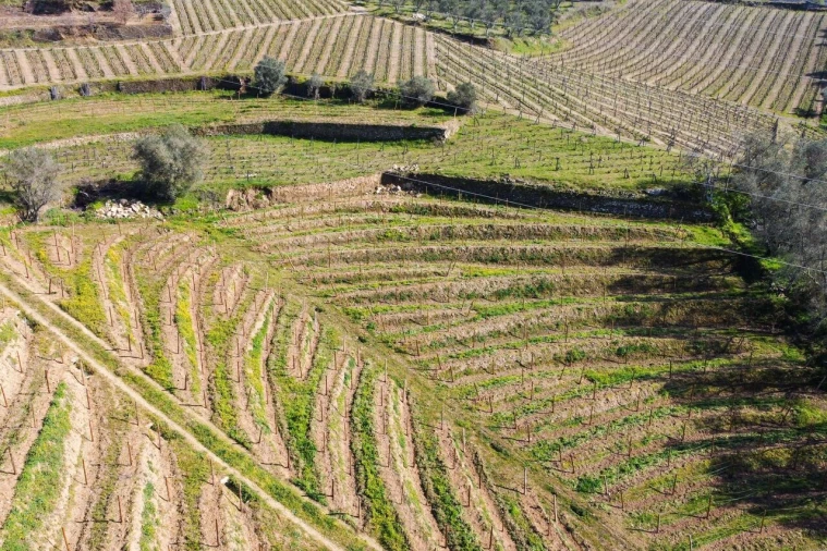 Quinta T4 para Venda em Peso da Régua e Godim Foto 13