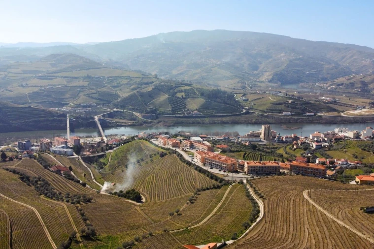 Quinta T4 para Venda em Peso da Régua e Godim Foto 14