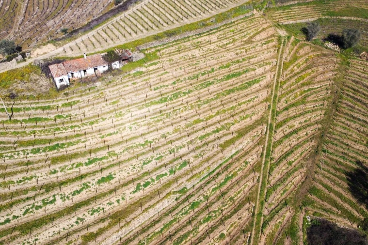 Quinta T4 para Venda em Peso da Régua e Godim Foto 16