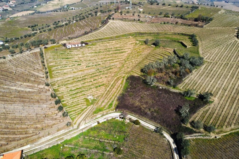 Quinta T4 para Venda em Peso da Régua e Godim Foto 17