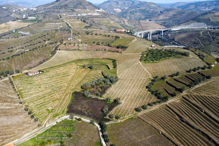 Quinta T4 para Venda em Peso da Régua e Godim Foto 18