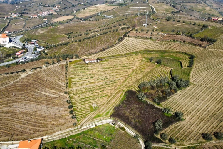Quinta T4 para Venda em Peso da Régua e Godim Foto 20