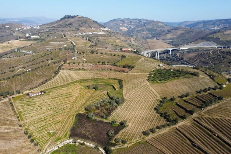 Quinta T4 para Venda em Peso da Régua e Godim Foto 22