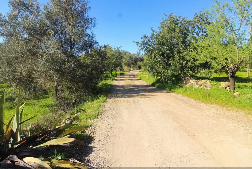 Quinta T2 para Venda em Luz de Tavira e Santo Estêvão Foto 12
