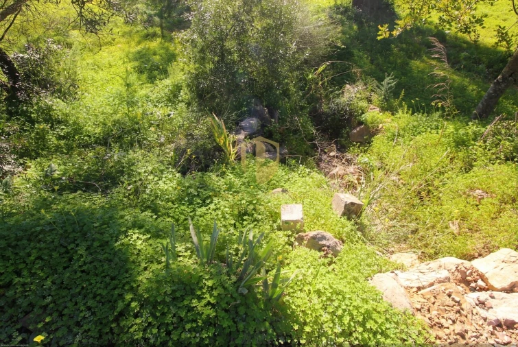 Quinta T2 para Venda em Luz de Tavira e Santo Estêvão Foto 11