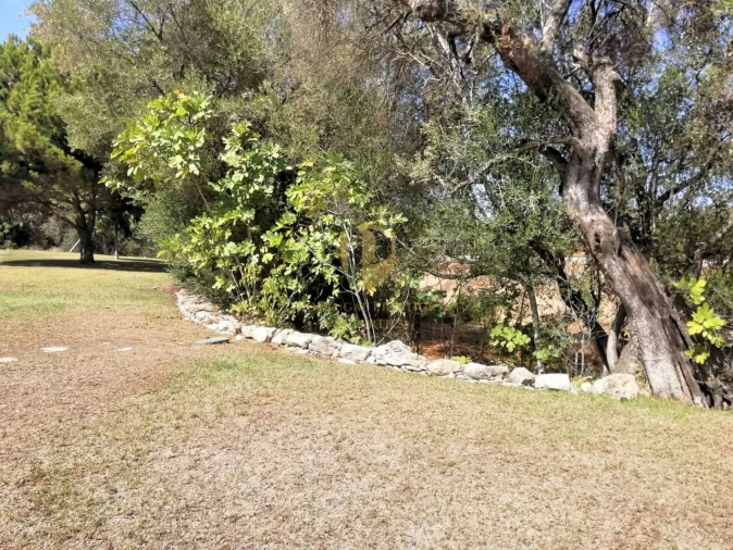 Apartamento T4 para Venda em Tavira (Santa Maria e Santiago) Foto 48