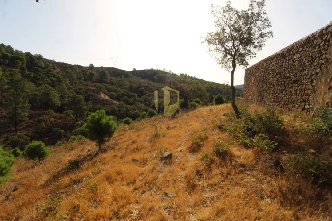 Terreno para Venda em Loule (São Clemente) Foto 7