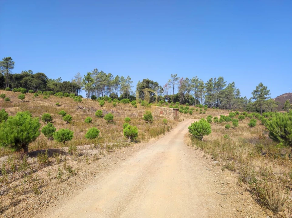 Terreno para Venda em Loule (São Clemente) Foto 9