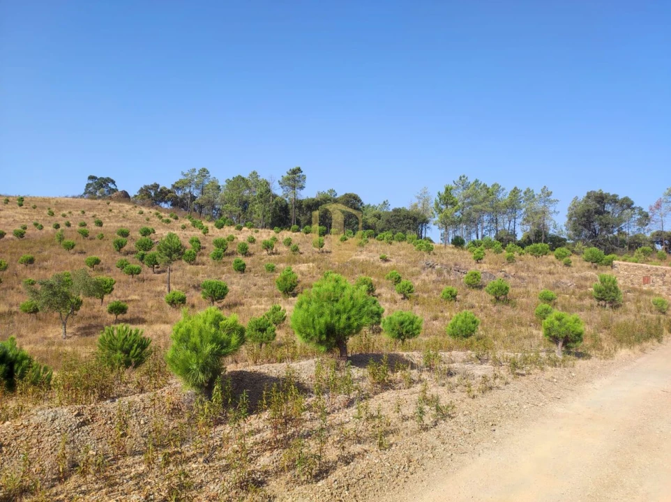 Terreno para Venda em Loule (São Clemente) Foto 8