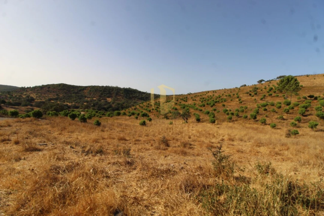 Terreno para Venda em Loule (São Clemente) Foto 5