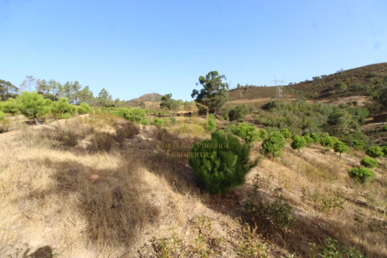 Terreno para Venda em Loule (São Clemente) Foto 10