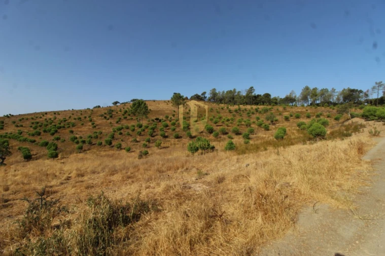 Terreno para Venda em Loule (São Clemente) Foto 6