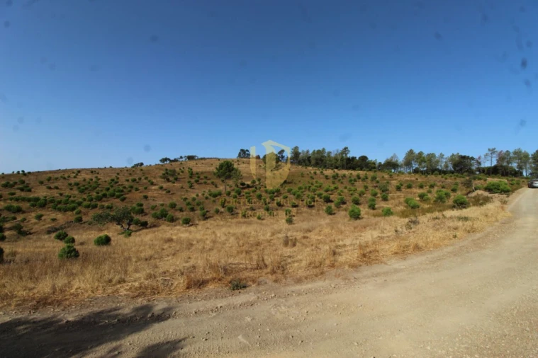Terreno para Venda em Loule (São Clemente) Foto 13