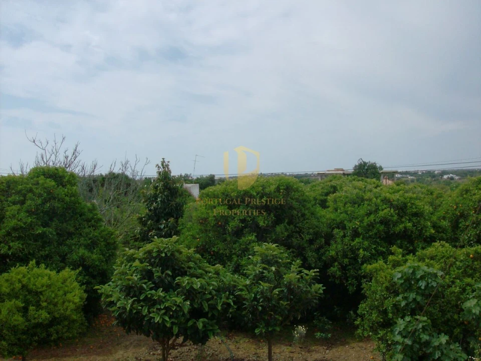 Terreno para Venda em Luz de Tavira e Santo Estêvão Foto 14