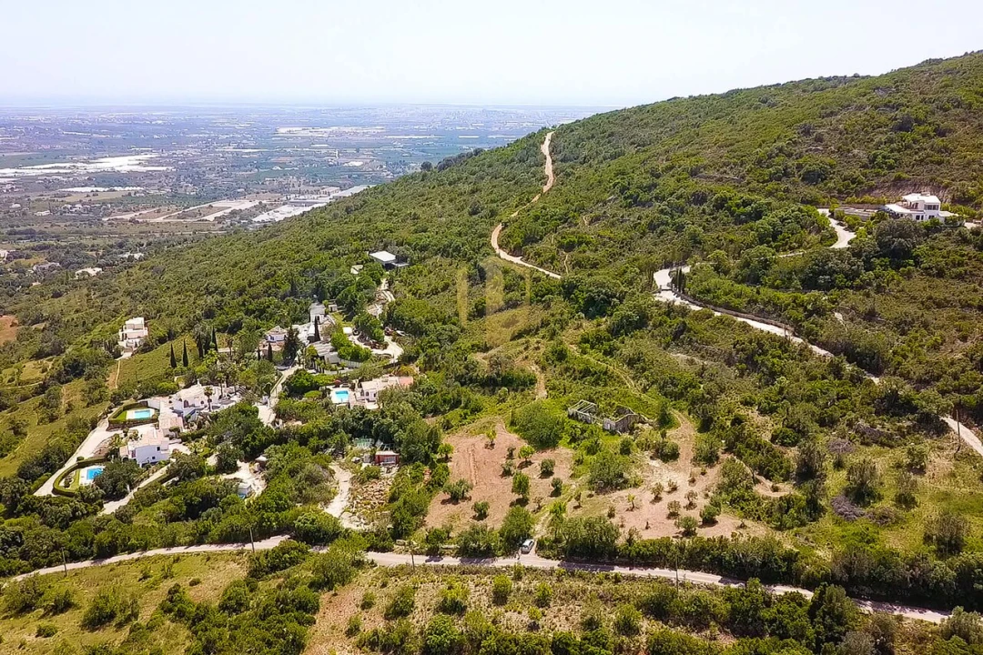 Terreno para Venda em Conceição e Estoi Foto 3