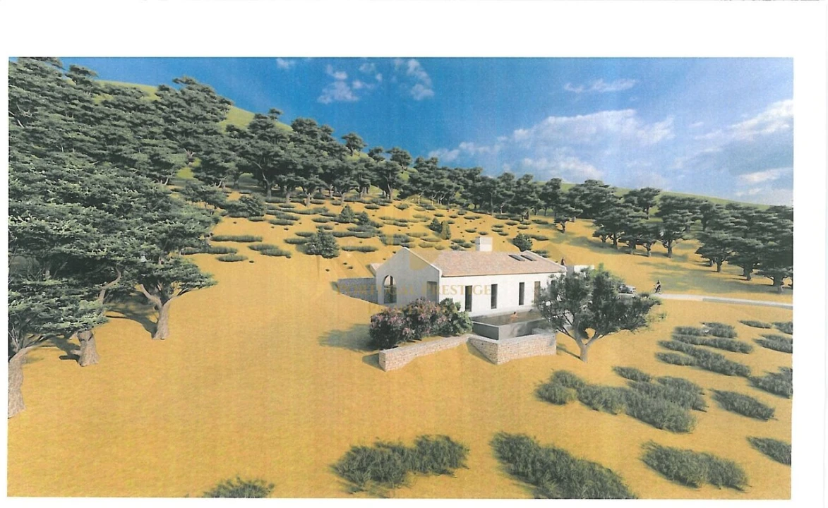 Terreno para Venda em Conceição e Estoi Foto 8