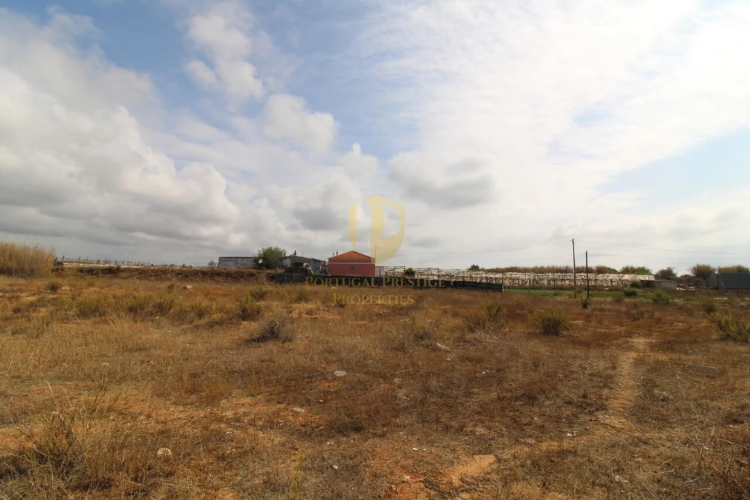 Terreno para Venda em Conceição e Estoi Foto 11
