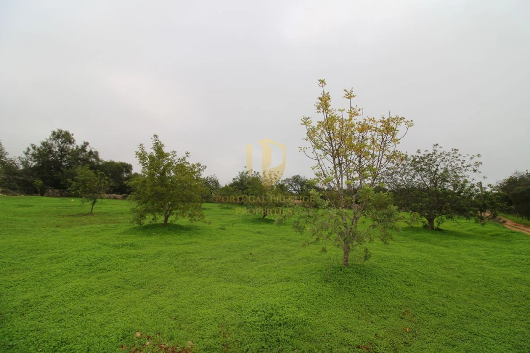 Terreno para Venda em Luz de Tavira e Santo Estêvão Foto 6