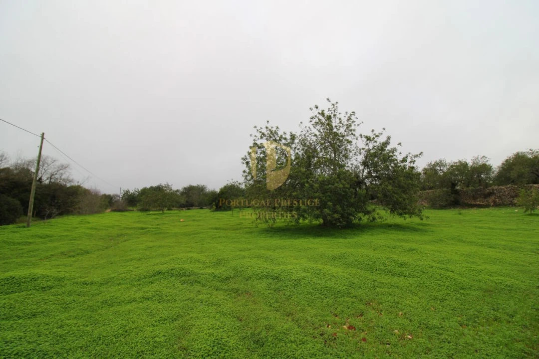 Terreno para Venda em Luz de Tavira e Santo Estêvão Foto 7
