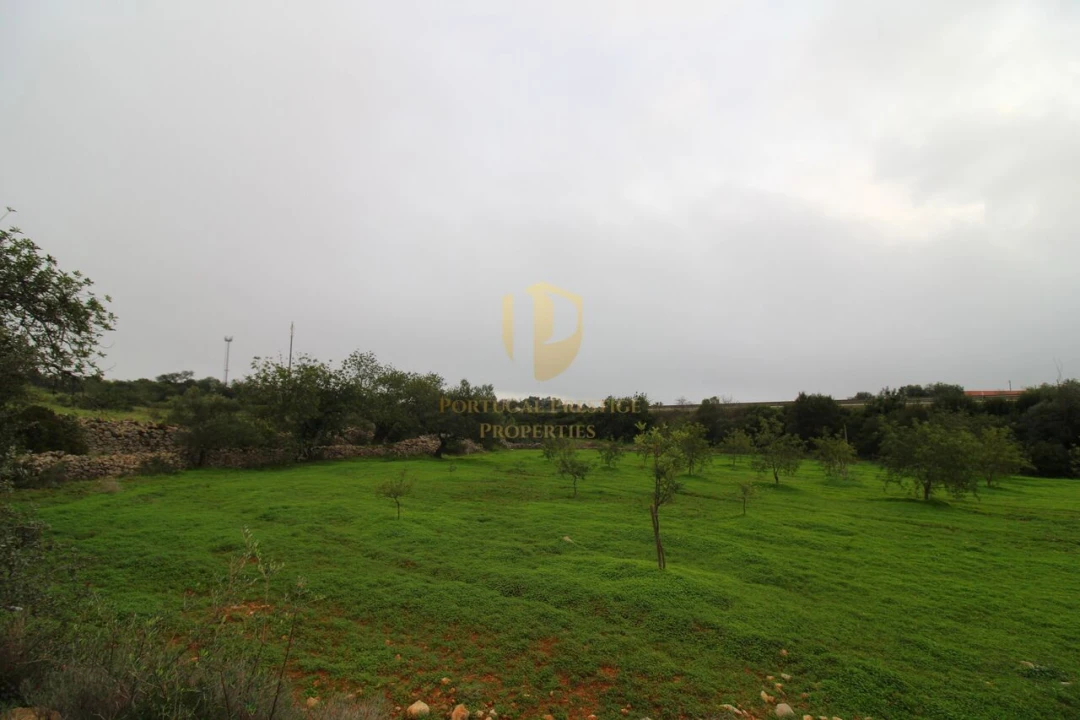 Terreno para Venda em Luz de Tavira e Santo Estêvão Foto 8