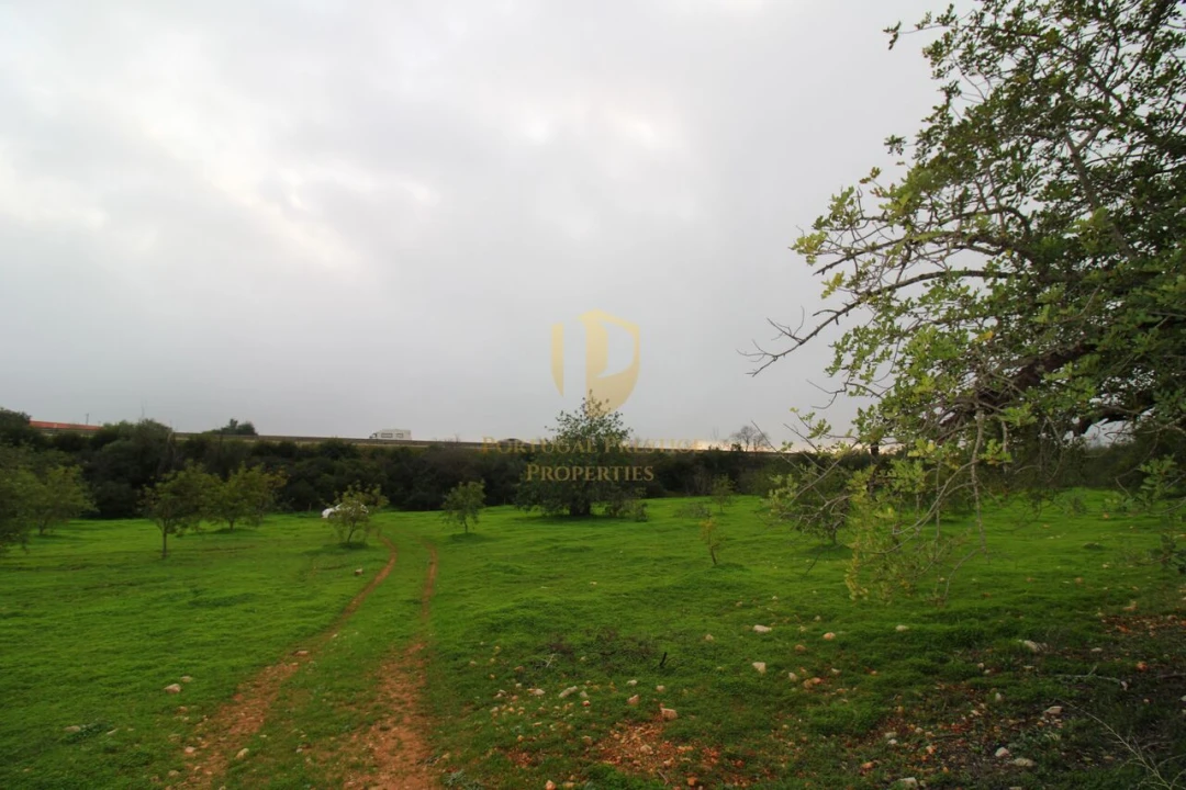 Terreno para Venda em Luz de Tavira e Santo Estêvão Foto 9