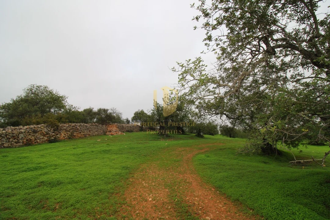 Terreno para Venda em Luz de Tavira e Santo Estêvão Foto 10