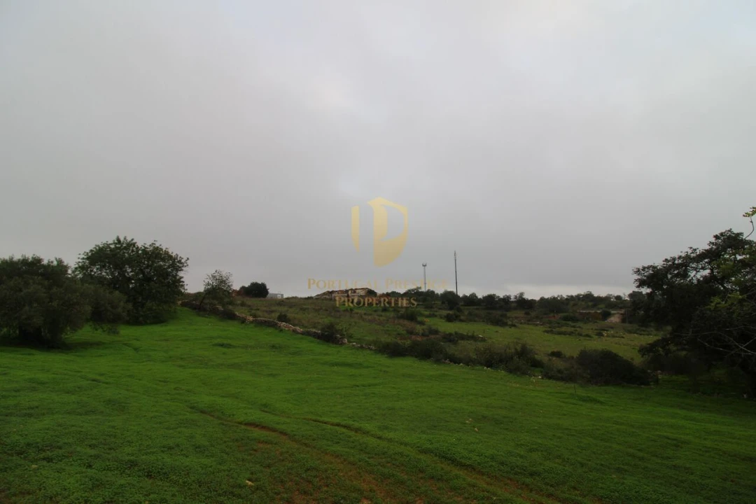 Terreno para Venda em Luz de Tavira e Santo Estêvão Foto 11