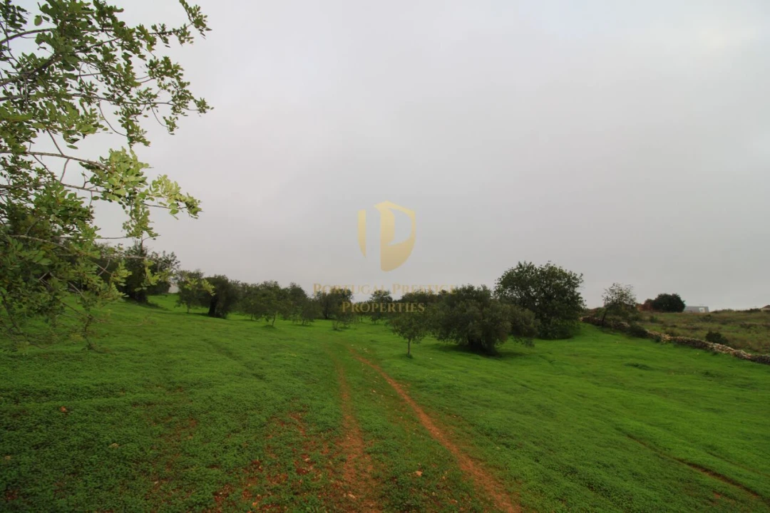 Terreno para Venda em Luz de Tavira e Santo Estêvão Foto 12
