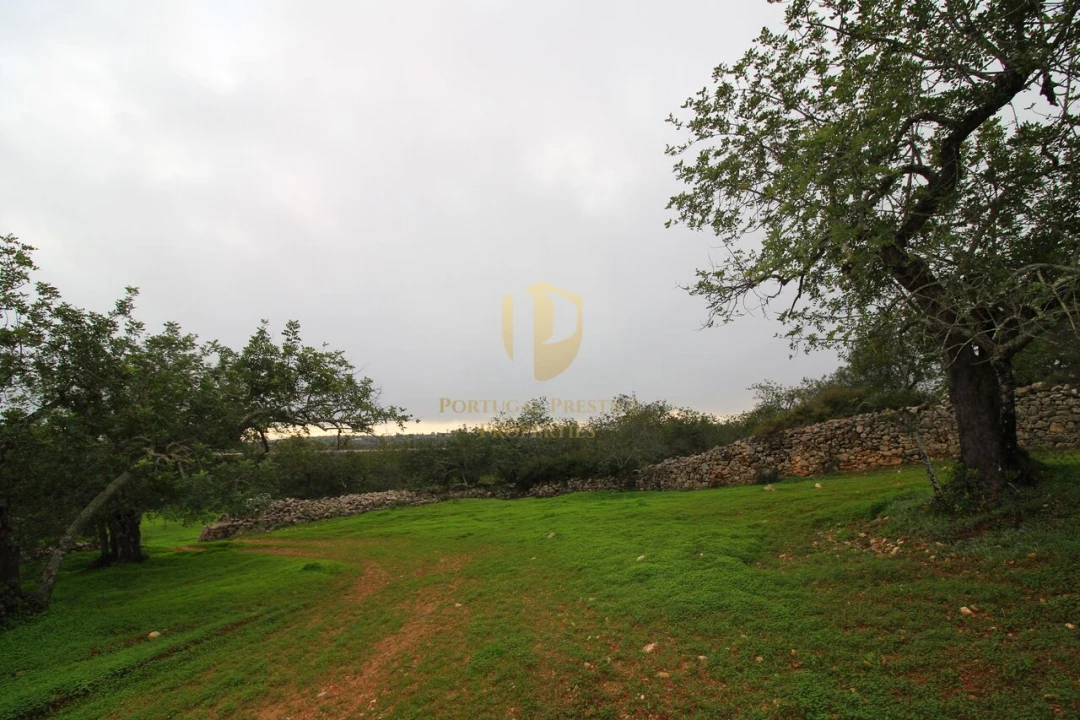Terreno para Venda em Luz de Tavira e Santo Estêvão Foto 13