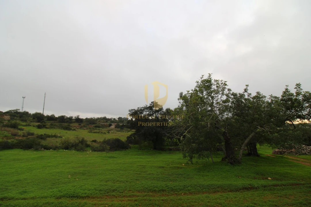 Terreno para Venda em Luz de Tavira e Santo Estêvão Foto 14