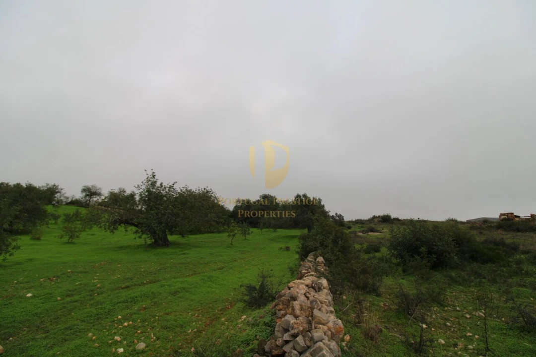 Terreno para Venda em Luz de Tavira e Santo Estêvão Foto 17