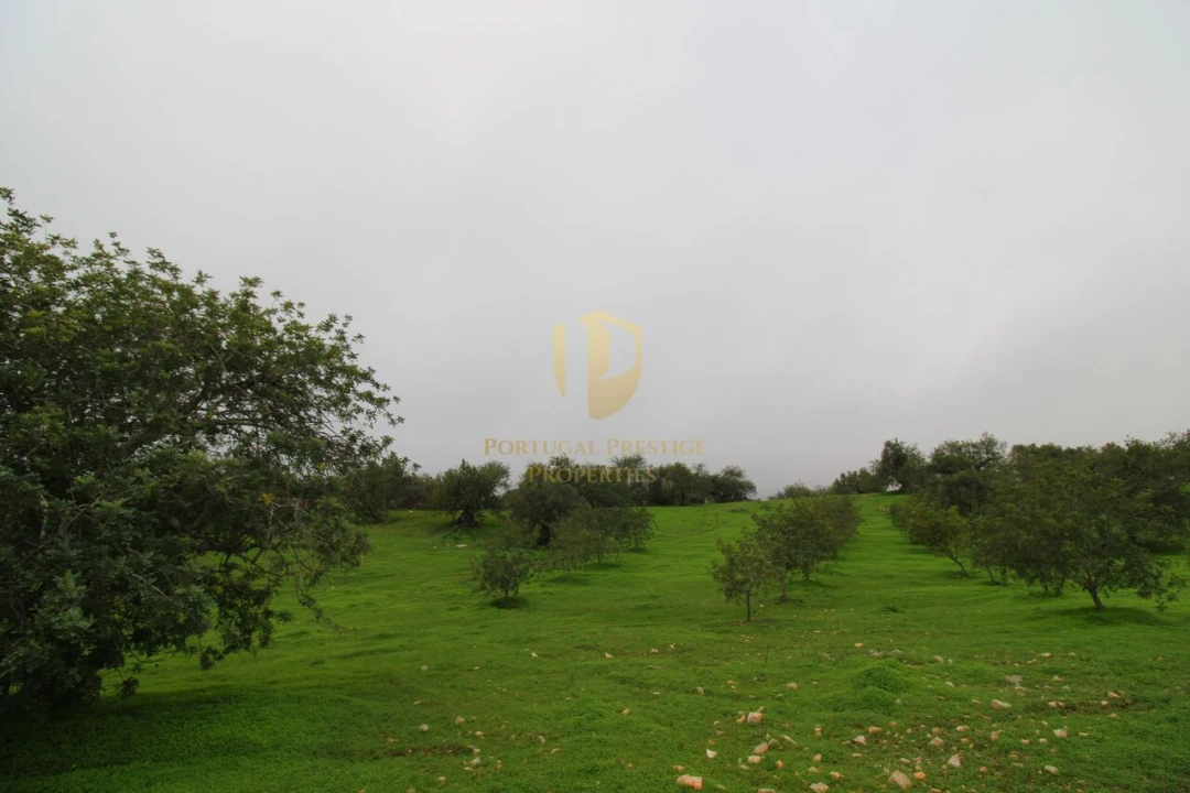 Terreno para Venda em Luz de Tavira e Santo Estêvão Foto 18